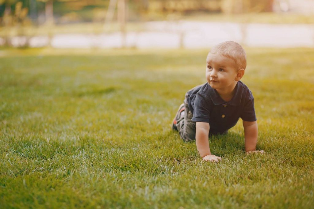 A toddler crawling in the park