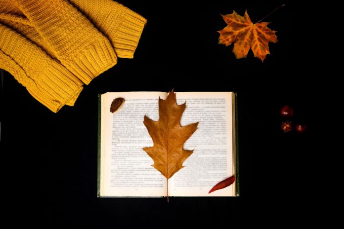 Autumn leaf on a book