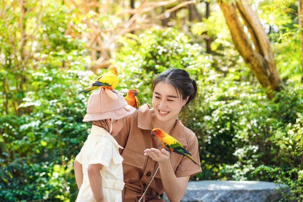 A toddler and mother looking at birds