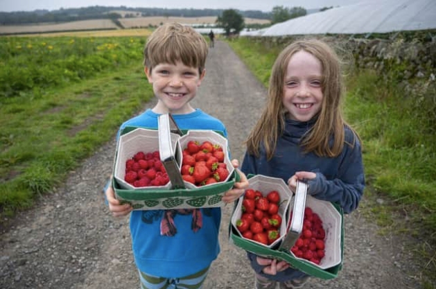 Two siblings displaying baskets of strawberries