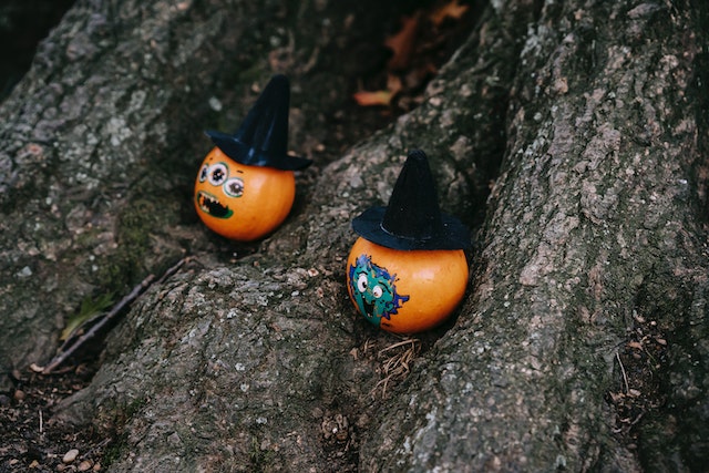 Two pumpkin on the foot of tree with witch hats