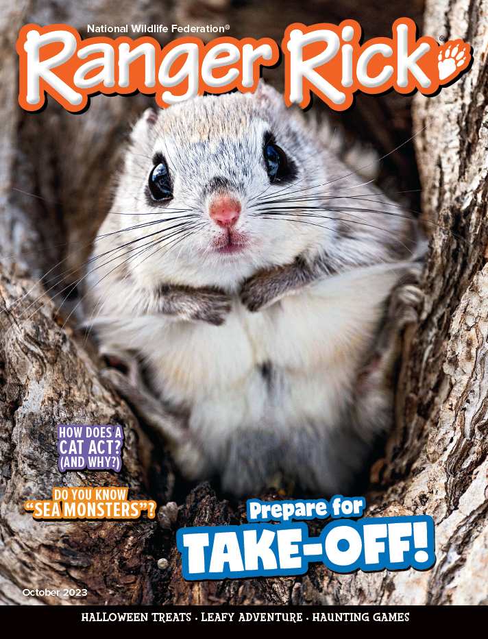 Magazine cover of Ranger Rick