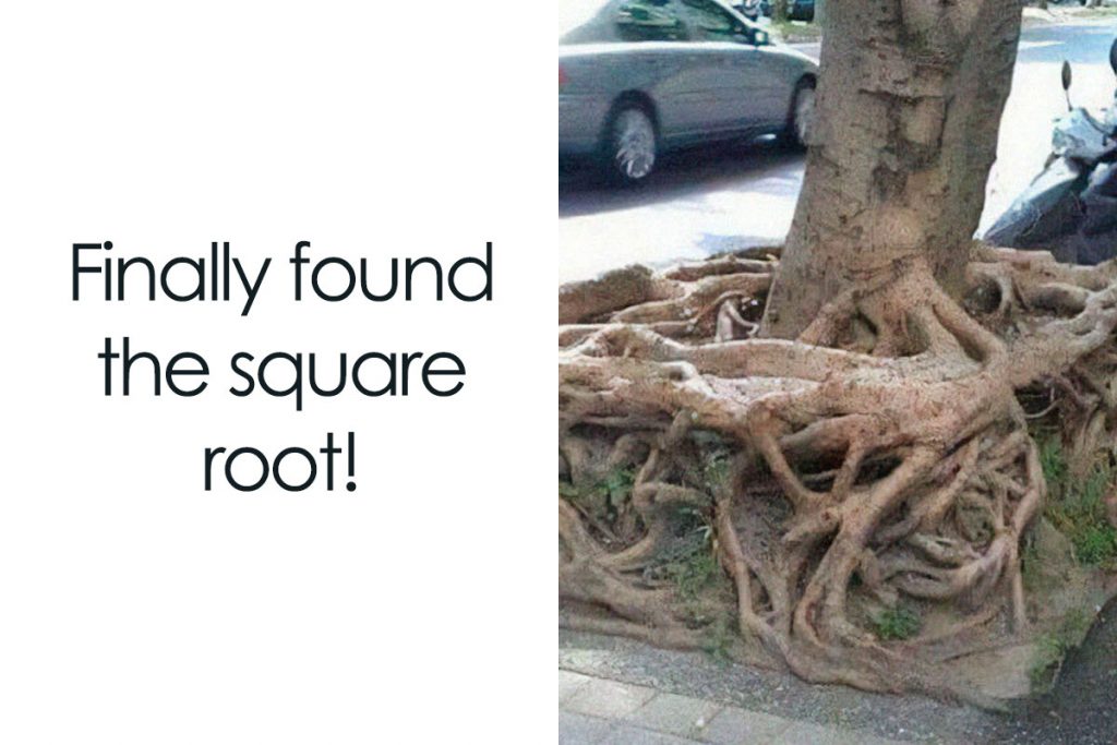 A tree with roots in square shape and captioned finally found the square root
