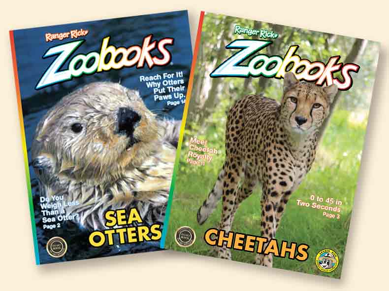 Magazine cover of Zoobooks