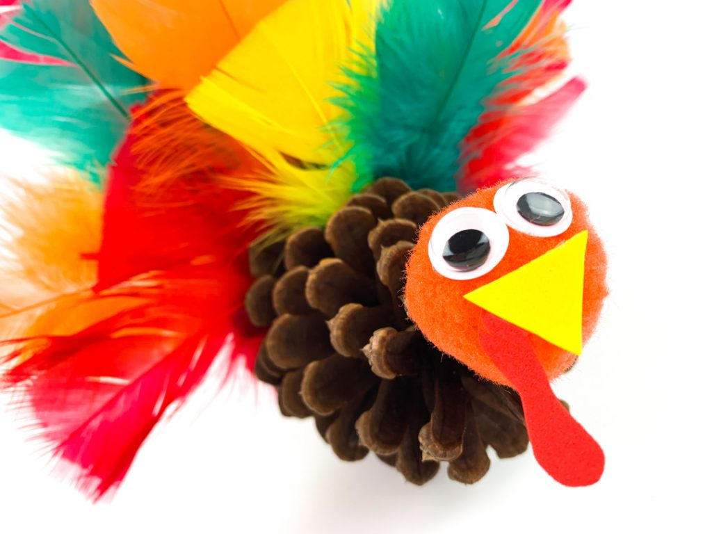A pinecone turkey with feathers