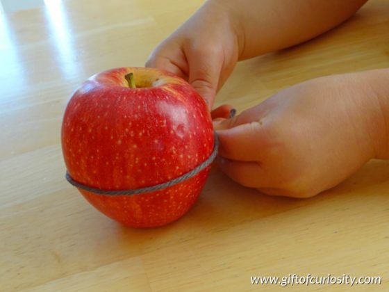 15 Best Hands-On Measurement Activities for Kids in 2025