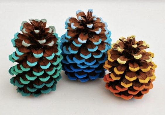 Beautiful Pine Cones