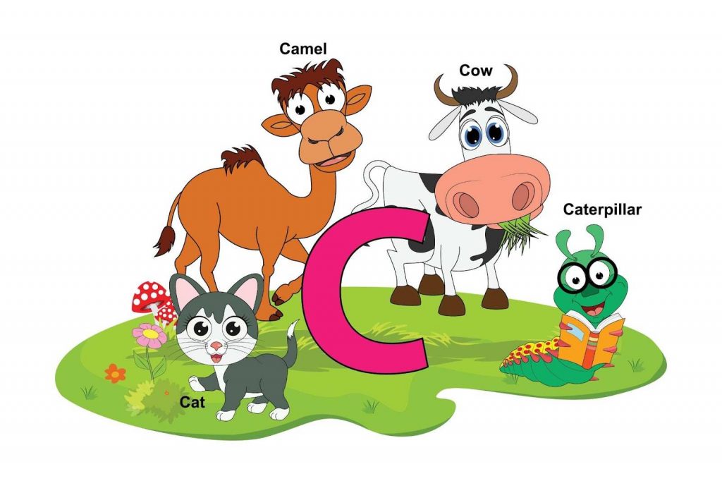 Letter C animals