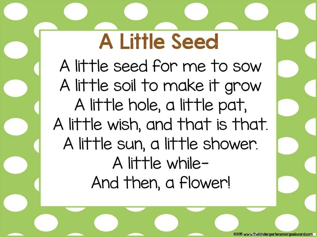 A little seed poem