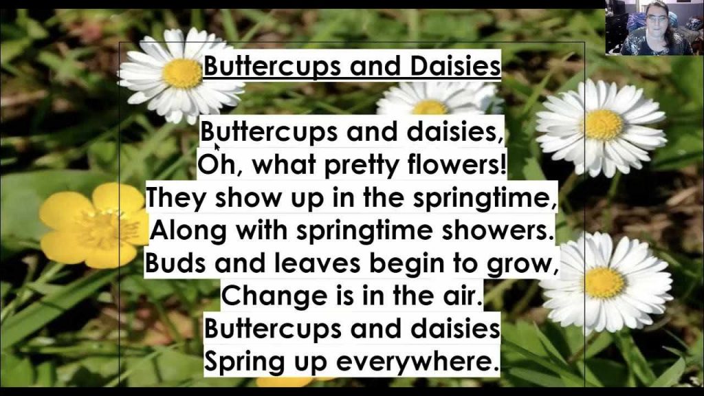 Buttercups and daisies poem