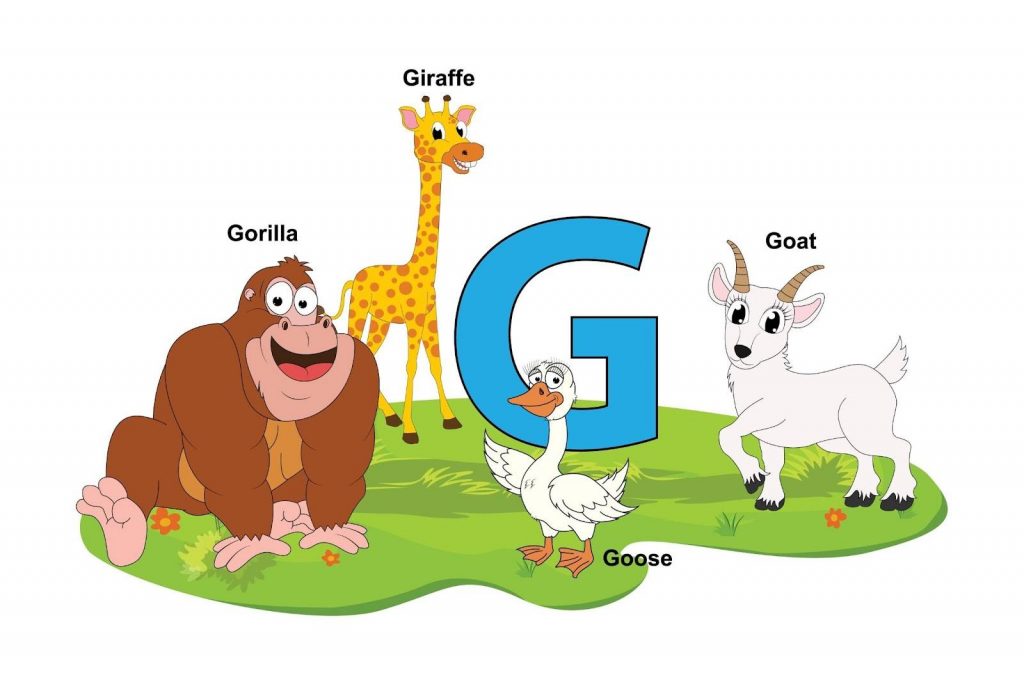 Animals that have their names from G