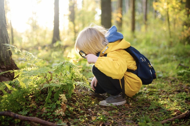 Kid looking at a plant