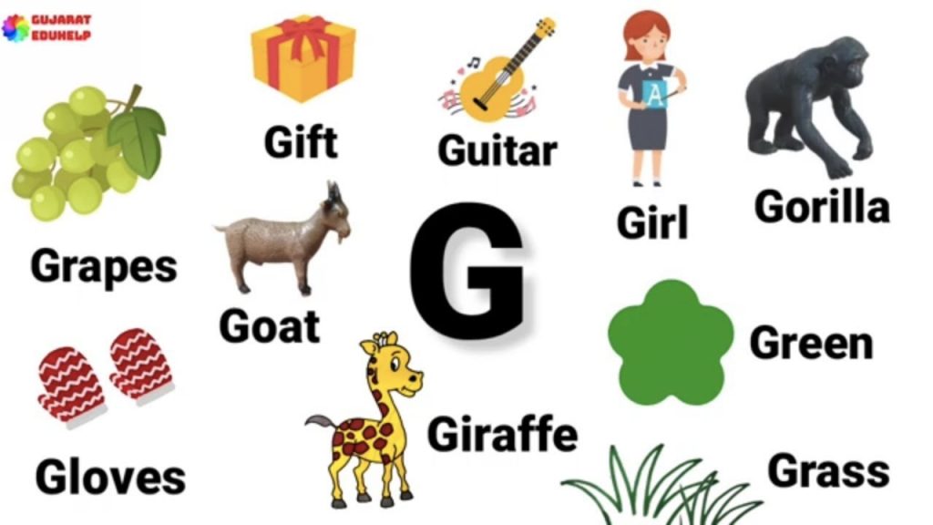 Photo of things that start from letter G