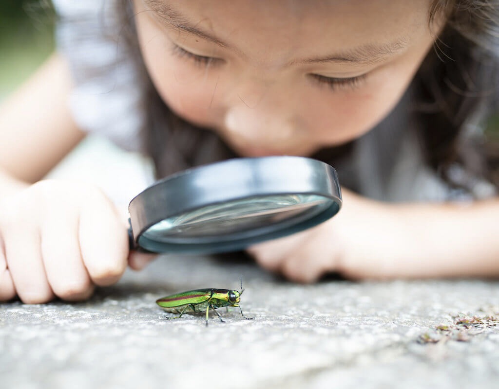 A girl using magnifying glasses to look at a bug