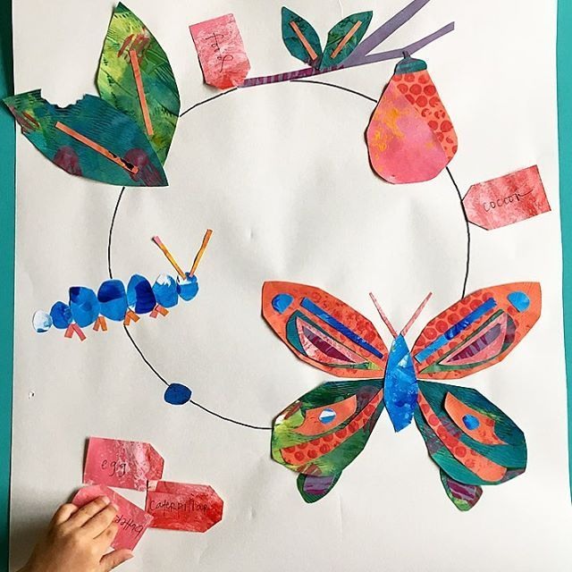 A butterfly lifecycle craft