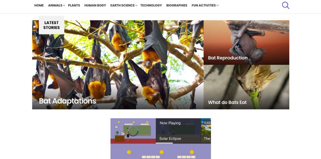 Website homepage of Easy Science For Kids