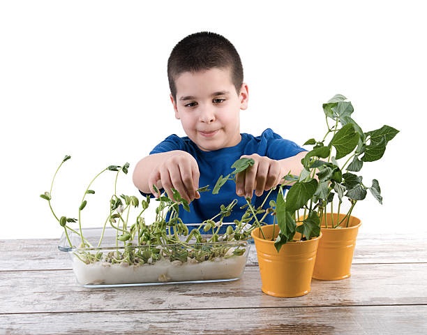 Kid practicing germination