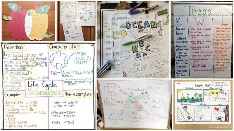 Graphic organizers boards