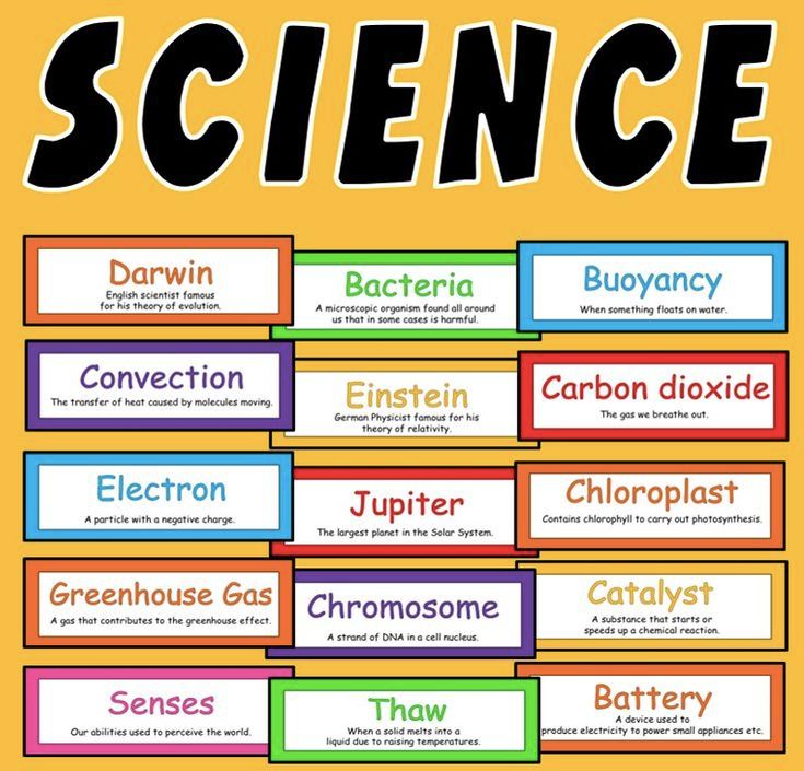 Science vocabulary flashcards