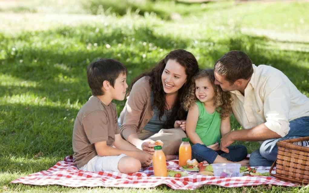 Family picnic outdoors