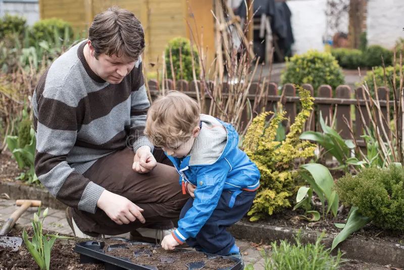 Father and son planting seeds