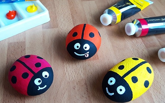 Bug painted rocks