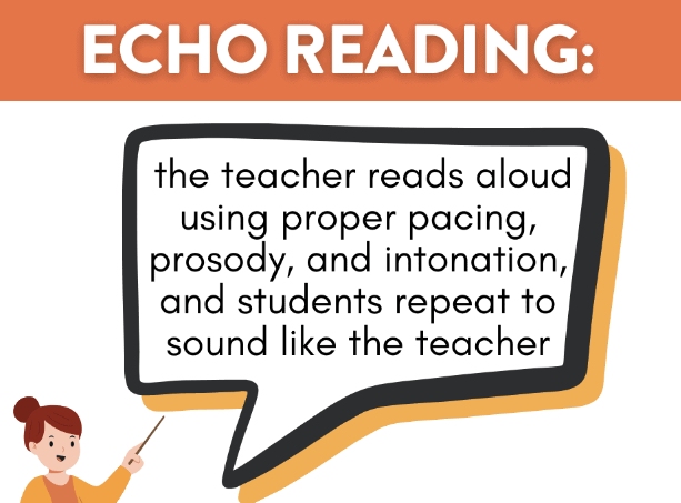 Definition of echo reading