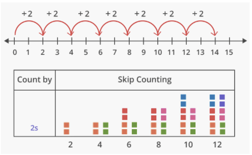 Skip counting by 2s in number line