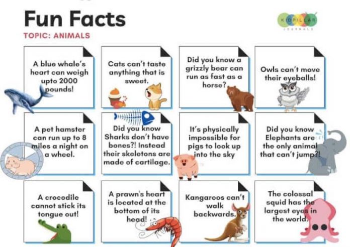 Animal facts