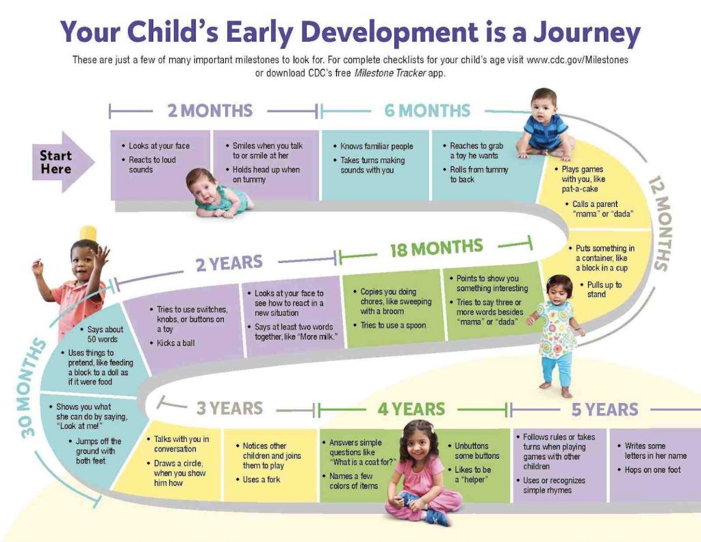 Early development chart