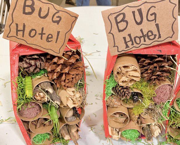 Two bug hotels