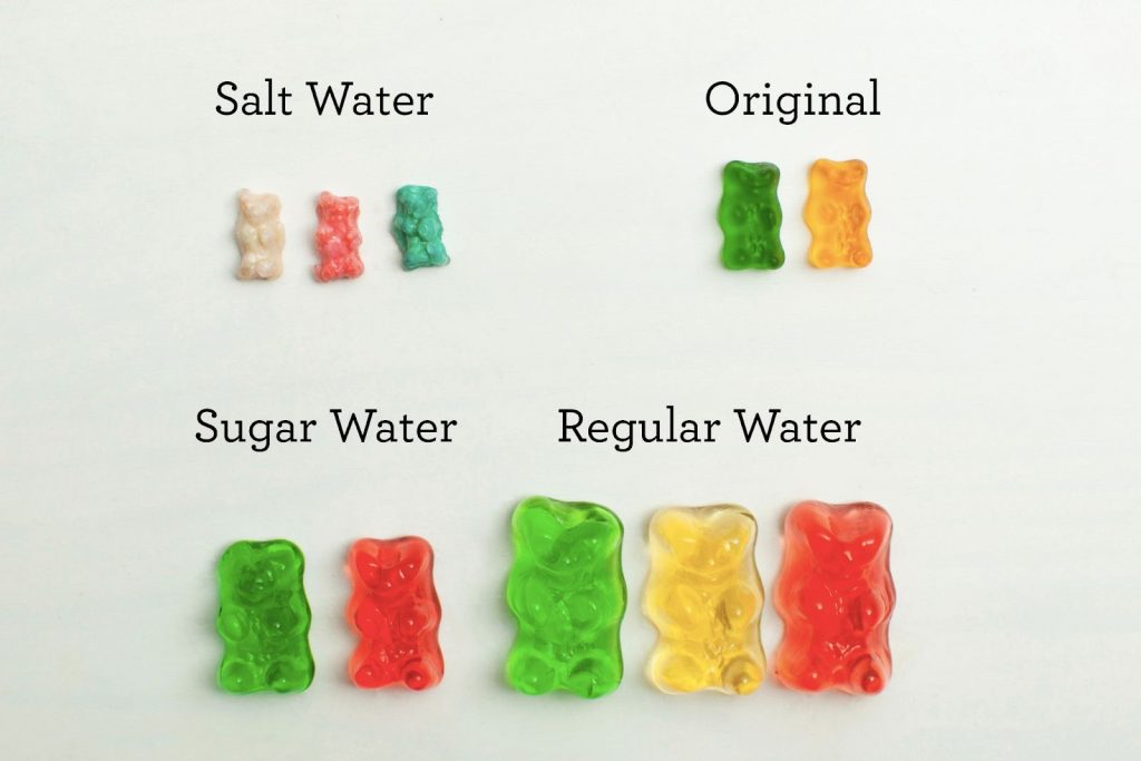 Gummy bears shapes