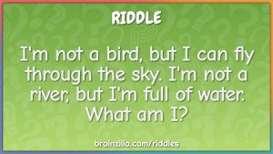 40 Best Scavenger Hunt Riddles For Kids [With Answers]