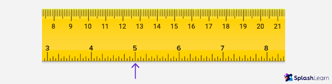 What Is Ruler? Definition, Types, Examples, Facts 05/2023