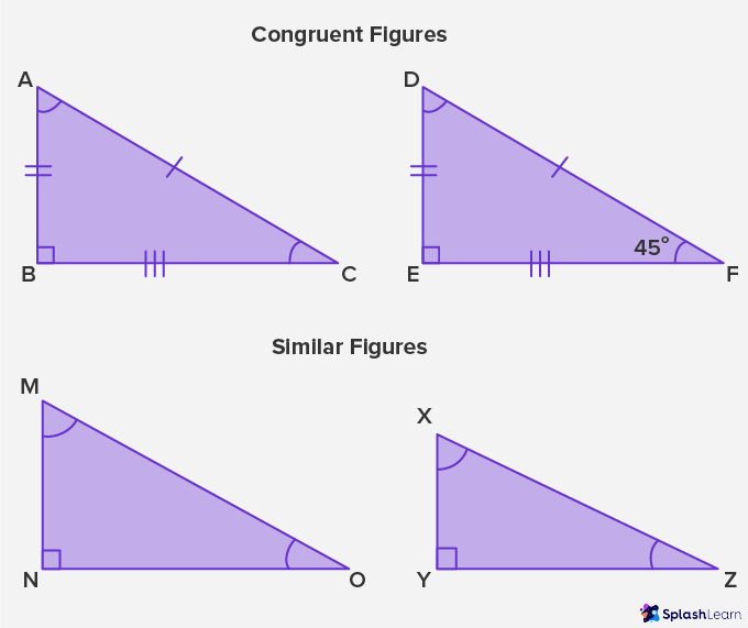What Is Congruent Definition Examples Facts
