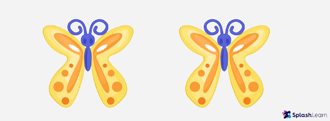 two butterflies as congruent figures