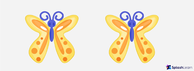 image15-2 two butterflies as congruent figures