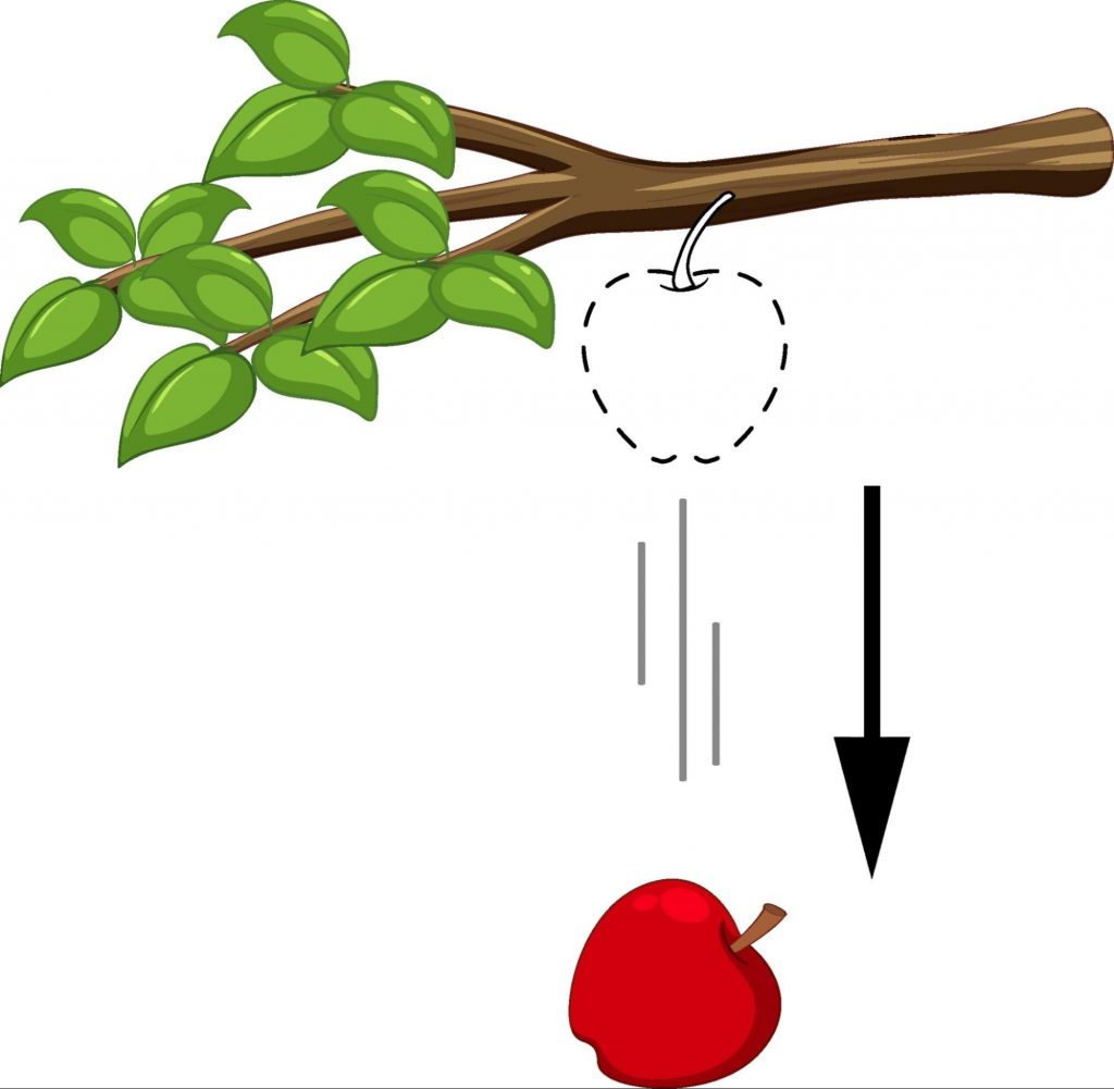 Fallen apple as vertical line