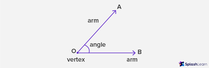 parts of angles