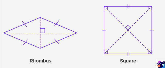 difference etween rhombus and square