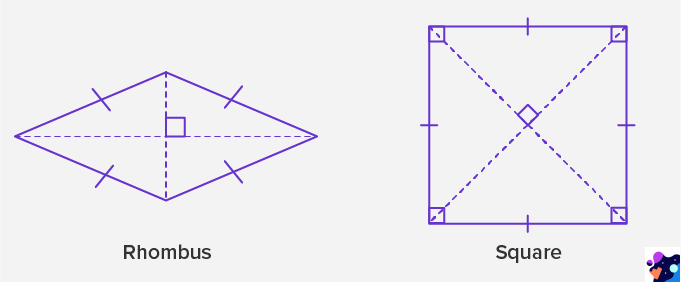 Rhombus and square