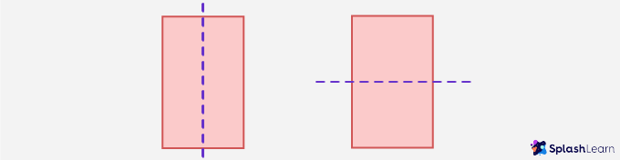 Symmetry &#8211; Definition with Examples