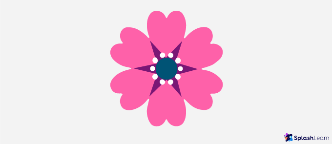 Flower to describe Symmetry - SplashLearn
