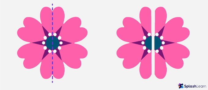 Symmetry Flower - SplashLearn