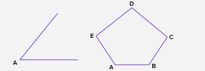 vertex -  sides or edges