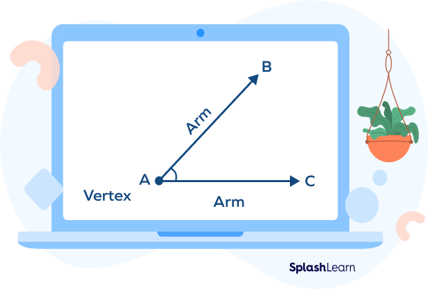 Arms and Vertex of the angle.