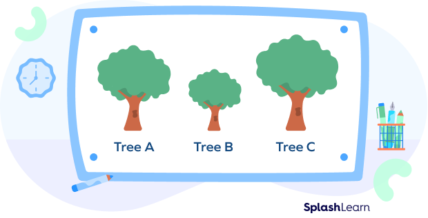 Height of three trees. Height of three trees.