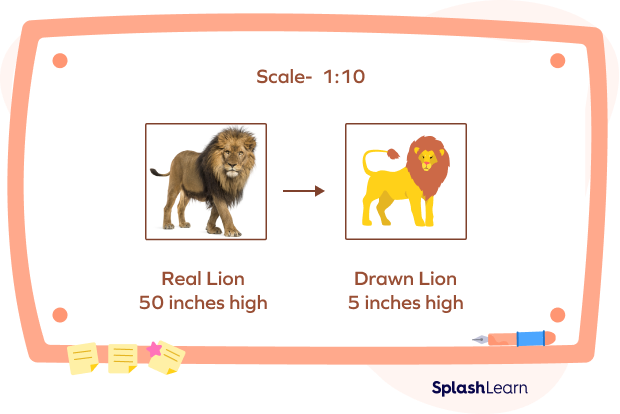Scale for Real and Drawn Lion