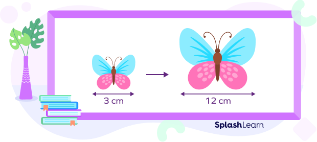 Scaled up image of Butterfly Scaled up image of Butterfly
