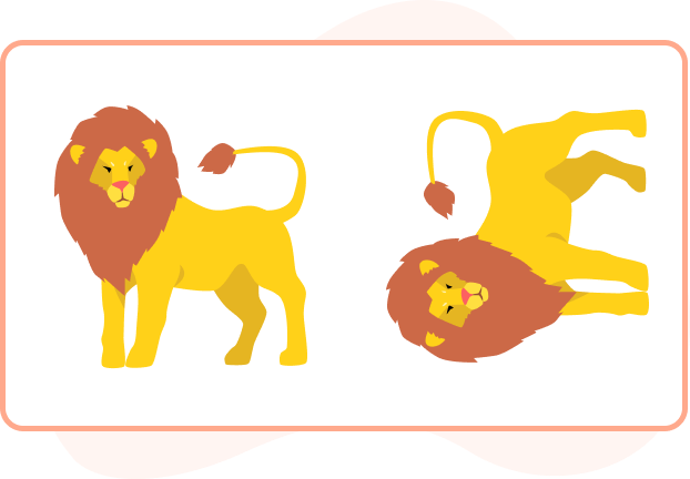 Counterclockwise rotation of Lion